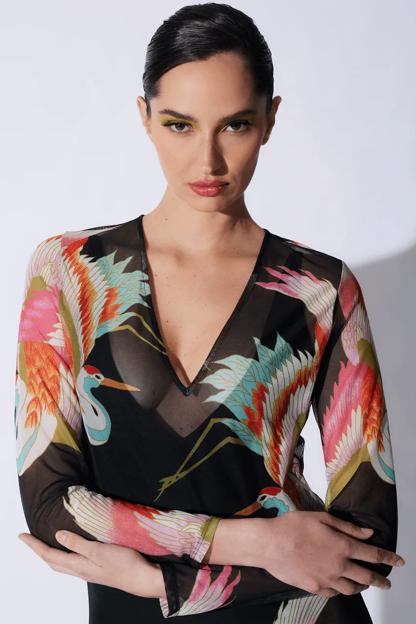 Crane Mesh Long Sleeve Sheer Dress